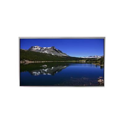 Bom preço NOVA 10,1 polegadas P1010WXF1MB10 500 cd/m2 tela de lcd para TIANMA on-line