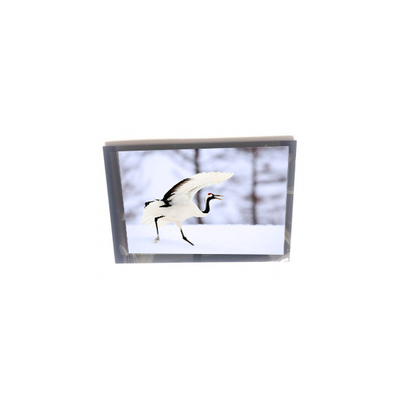 Bom preço 10.1 polegada TM101JVHG30-05 PCAP TFT-LCD Display on-line