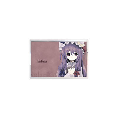 Bom preço TM121SDS01-05 12.1 polegadas 800*600 450 cd/m2 60Hz painel LCD on-line