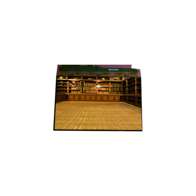 Bom preço Venda a quente 1600*1200 TM201XDHP01 20,1 polegadas LVDS LCD on-line