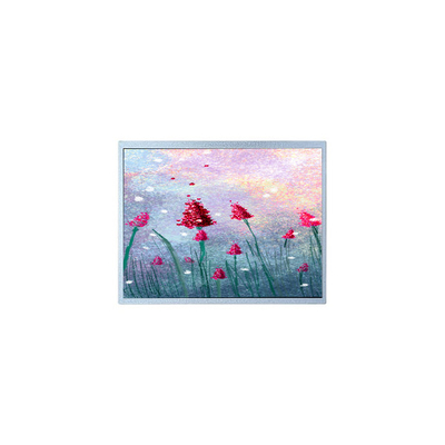 Bom preço P1900SXF1MA00 19,0 polegadas TFT LCD monitor para Imagem Médica on-line