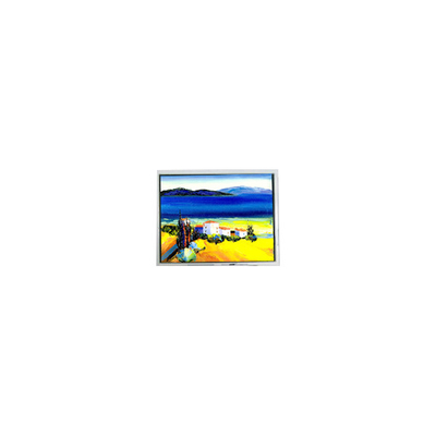 Bom preço HSD050JDW2-C10-0220 800*480 5,0 polegadas LCD Display on-line