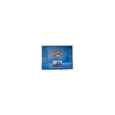 Bom preço HSD080GHW3-A15 8,0 polegadas 1280*720 LCD Display para alto brilho externo on-line