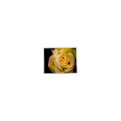 Bom preço novo painel de 9,7 polegadas HSD097HXN2-A00 1024*682 LCD on-line
