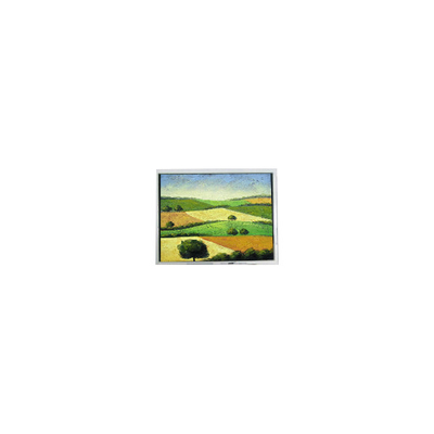 Bom preço Original 480*272 ET043001DM6 4,3 polegadas LCD Painel LCD Display on-line