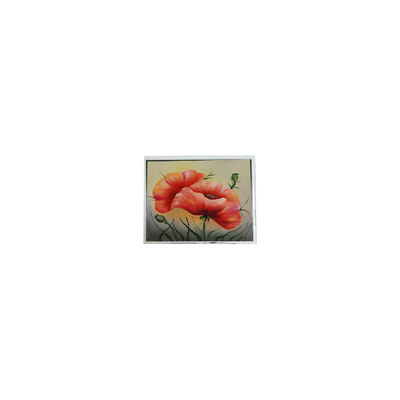 Bom preço novo ETM070001BDHA de 7,0 polegadas 800*480 PCAP on-line