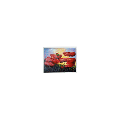 Bom preço 5.7 polegadas 320*240 EW50352BCW LCD painel LCD monitor on-line