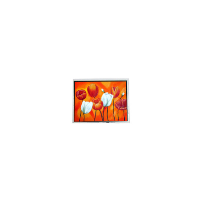 Bom preço EW50397BCW 4,7 polegadas pequeno 320*240 75Hz lcd painel tela LCD on-line