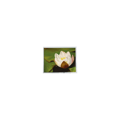 Bom preço 640*480 5,7 polegadas COM57H5M87KTC 262K 60Hz LCD Touch Display on-line