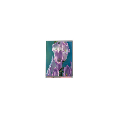 Bom preço 7.0 polegadas C070AWPE-0 800*480 TFT LCD Screen LCD Panel Industrial on-line