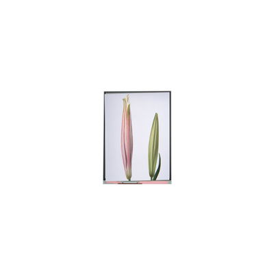 Bom preço C080SWW3-0 8,0 polegadas TFT LCD Screen Display FOR Tablet on-line