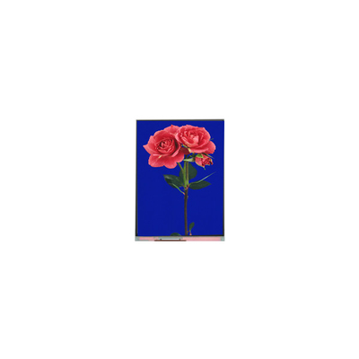 Bom preço 800*1280 C080SWW3-1 8,0 polegadas TFT LCD Display FOR Pad on-line