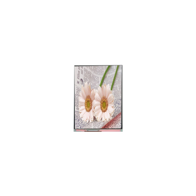 Bom preço C084GNS1-1 800*600 8,4 polegadas TFT LCD Display PARA Indústria on-line