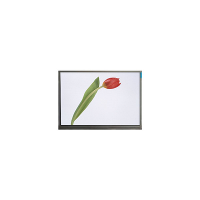 Bom preço M070SWP1 R0 7,0 polegadas 800 * 480 TFT tela LCD Painel de exibição on-line