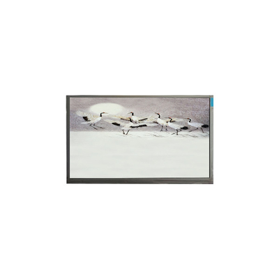 Bom preço P101GWWF R2 10,1 polegadas 1280*800 LCD Panel Display para Pad on-line