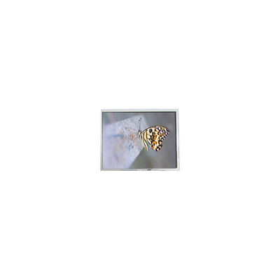 Bom preço FG050722DSSWDGL2 640*480 5,7 polegadas 20 pinos Peças de tela LCD on-line