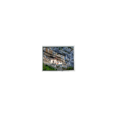 Bom preço 320*234 FG060400ANCWA-01 painel LCD de 6,4 polegadas para quadro fotográfico digital on-line