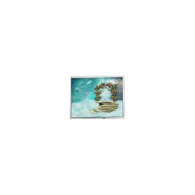 Bom preço TFT1N5918 6,9 polegadas 800*480 LVDS ecrã LCD on-line