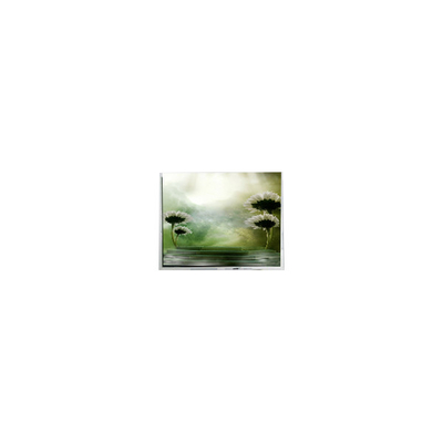 Bom preço 10.4 polegadas TFT1P1799-E 960 * 1280 tela LCD para automóvel on-line