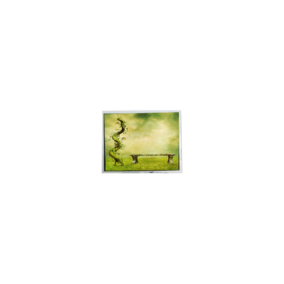Bom preço TFT7D0179 600*1024 original de 7,0 polegadas 16,7M tela LCD on-line