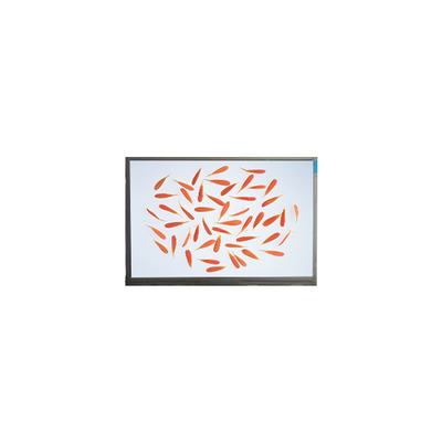 Bom preço novo M069AWA1 R0 de 6,9 polegadas 1280*720 tela LCD painel LCD on-line