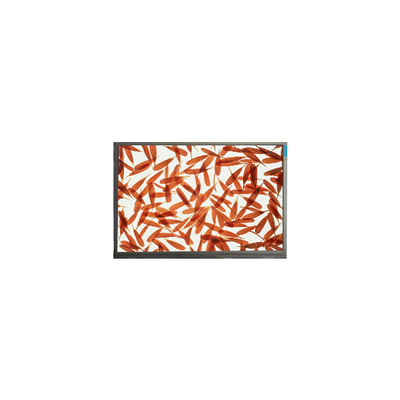 Bom preço M090AWA6 R1 1280*720 9,0 polegadas tela LCD para exterior de alto brilho on-line