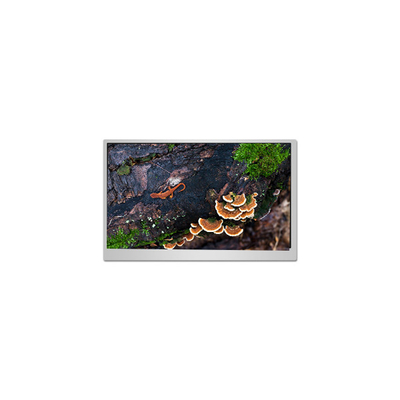 Bom preço Display de painel LCD de 23,8 polegadas PN238CT02-1 60Hz on-line
