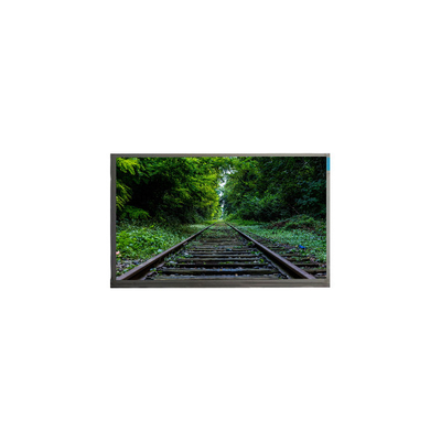 Bom preço N160GLE-GT1 2560*1600 16,0 polegadas 165Hz LCD Screen Laptop on-line