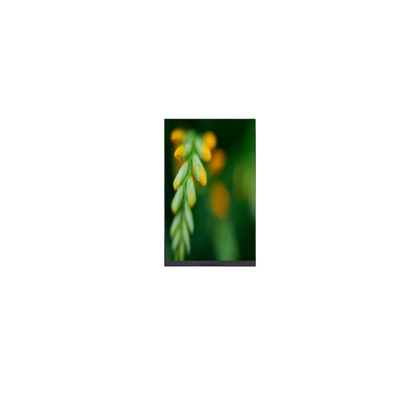 Bom preço P080DCE-3F0 800*1280 8,0 polegadas tela LCD com Pad Tablet on-line