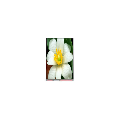 Bom preço PJ052IC-01C 5,2 polegadas 1080*1920 tela LCD Painel de exibição on-line