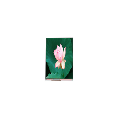 Bom preço 1080*1920 PJ055IA-14A 5,5 polegadas 60Hz tela LCD módulo LCD on-line