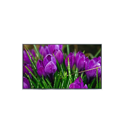 Bom preço B116HAT01.0 painel LCD original de 11,6 polegadas do portátil on-line
