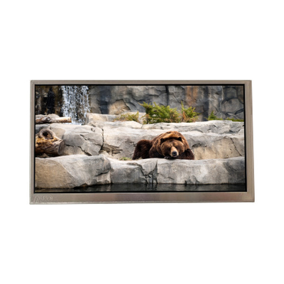 Bom preço C080VAN02.3 Ecrã LCD WLED de 8,0 polegadas on-line