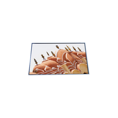 Bom preço P460HVN04.2 Display de tela LCD de 46,0 polegadas 1080p para sinalização digital on-line
