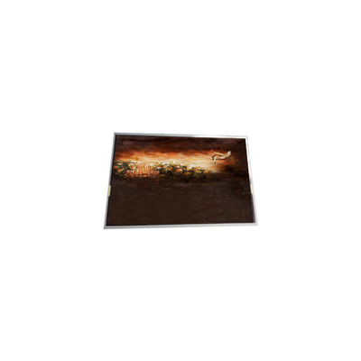 Bom preço P0700WSF2MB00 7,0 polegadas 1024 * 600 LCD Display Screen para Industrial on-line