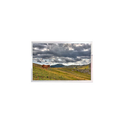 Bom preço LW270AHQ-ESG3 27.0 polegadas 2560 * 1440 OLED Display para jogos on-line