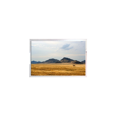 Bom preço TFT7D0906-A Ecrã LCD Display 6.3 polegadas Painel de módulo LCD on-line