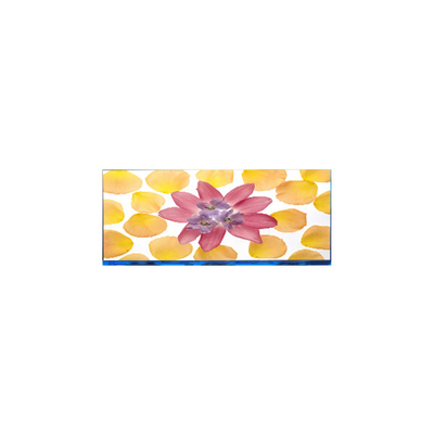 Bom preço E102AWF6 R1 10,2 polegadas 1920 * 532 LCD Display on-line