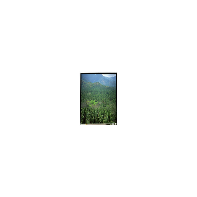 Bom preço LS055B3SX04Z 5.5 polegadas 1920*3664 TFT LCD Panel on-line