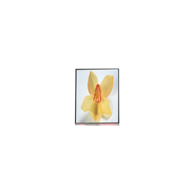 Bom preço C050SWAN-0 5,0 polegadas 720 * 1280 painel de tela LCD on-line