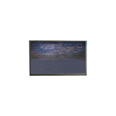 Bom preço U055SWRA-1 painel de tela LCD de 5,5 polegadas 720*1440 módulo de exibição LCD on-line