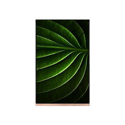 Bom preço Ecrã LCD de 10,1 polegadas para módulo LCD NV101WUM-N53 on-line