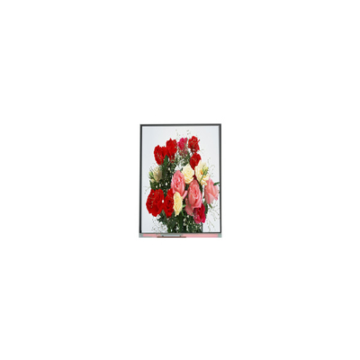 Bom preço C065SWR4-0 Original em stock 6,5 polegadas 540*1200 LCD Display Screen on-line