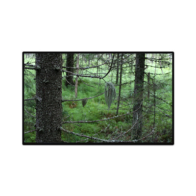 Bom preço TV101WUB-NW1-D9P0 10,1 polegadas 1200 * 1920 LCD Painel de Display on-line