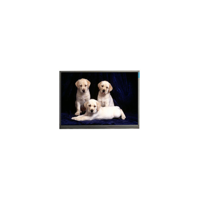 Bom preço 800*1280 F080A27-6T1 8,0 polegadas TFT LCD Panel Display Screen on-line