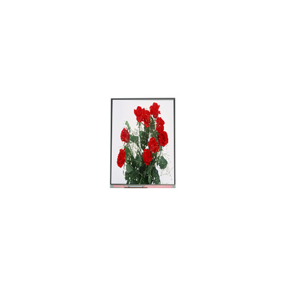 Bom preço C065SWR1-0 painel LCD de 6,5 polegadas 720*1560 on-line