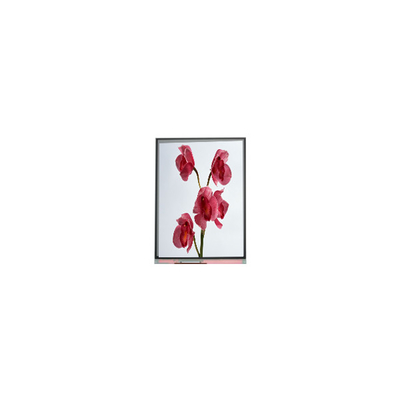 Bom preço 480*960 C060SWY7-0 6,0 polegadas Tft LCD on-line