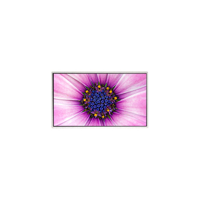 Bom preço 7.0 polegadas TT070WVM-NW1 800 * 480 tela LCD para eletrodomésticos on-line