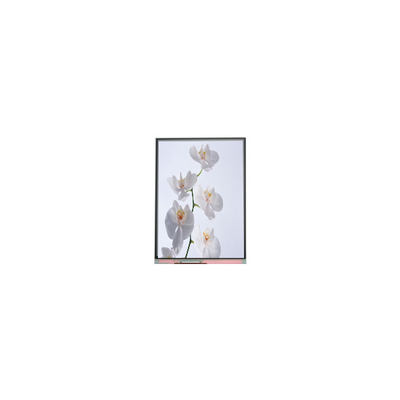 Bom preço C060SWR6-1 6,0 polegadas 720*1528 painel de ecrã LCD on-line
