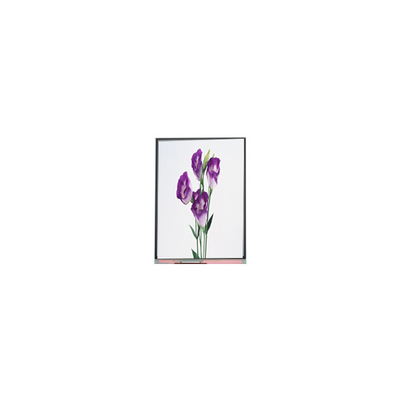 Bom preço C057SWR1-1 5,7 polegadas 720 * 1440 painel de tela LCD para telefone on-line